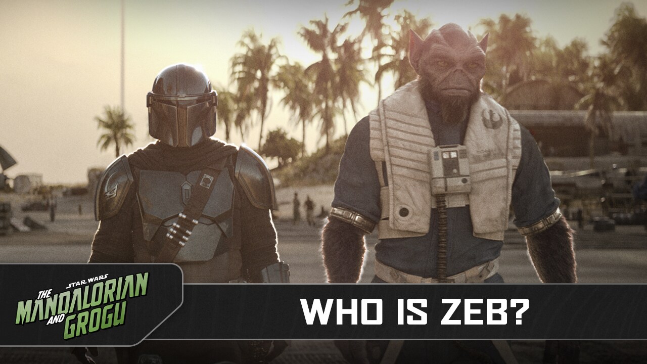 Who is Zeb? official Star Wars news artwork